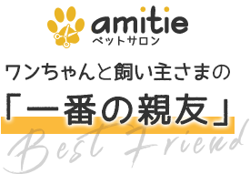 ワンちゃんと飼い主さまの「一番の親友」